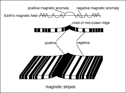 Magnetic Bands On The Ocean Floor
